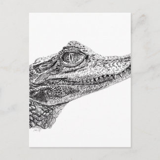 Carte Postale Dessin d'encre de crocodile pour bébé