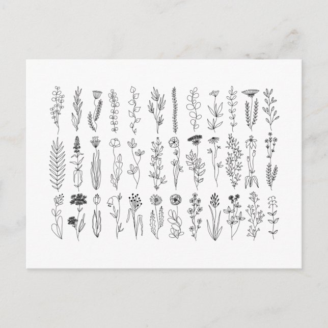 Carte Postale Dessin D'Encre Fleurs Et Herbes (Devant)