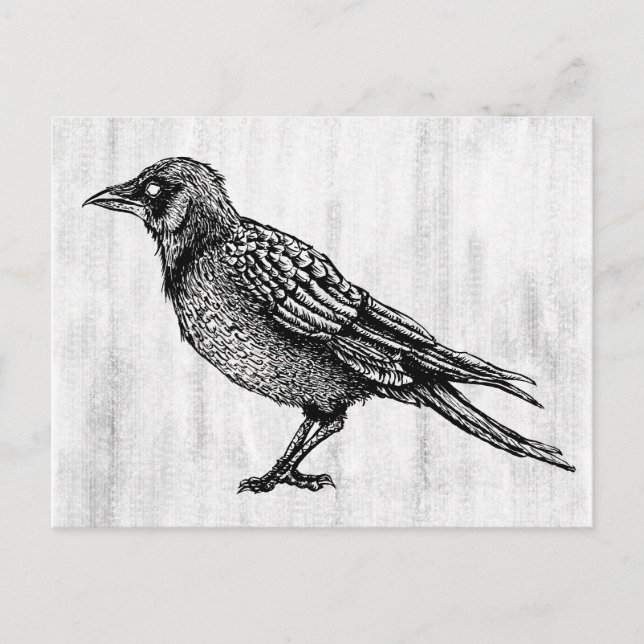 Carte Postale Dessin d'encre gothique noir et blanc corbeau (Devant)