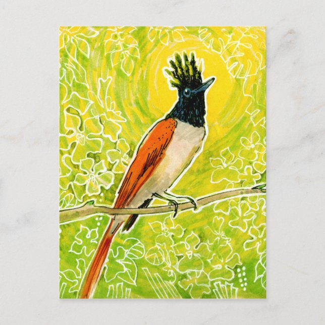 Carte Postale Dessin d'oiseaux tropicaux du Paradis Indien (Devant)