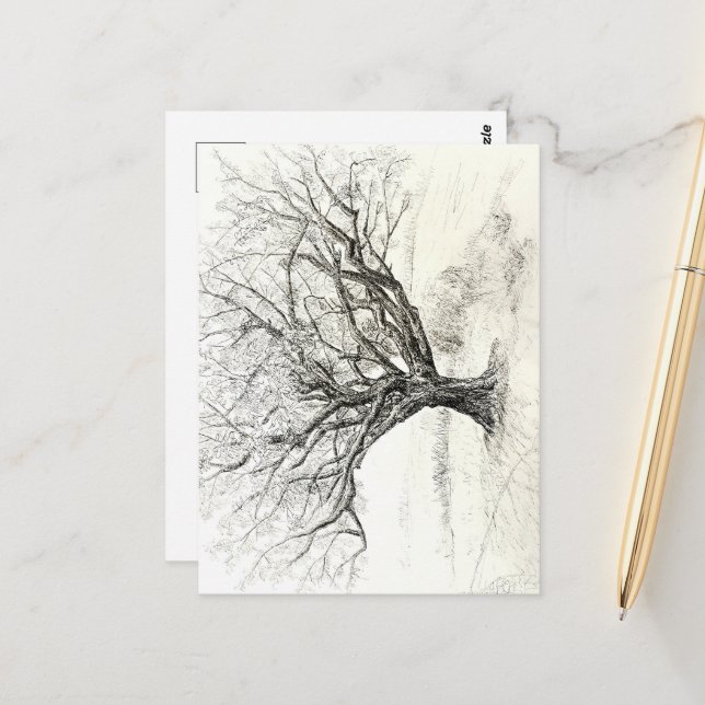 Carte Postale Dessin du stylet et de l'arbre d'encre (Devant/Arrière en situation)