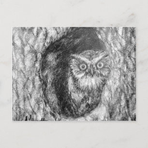 Carte Postale Dessin en noir et blanc de la Chouette