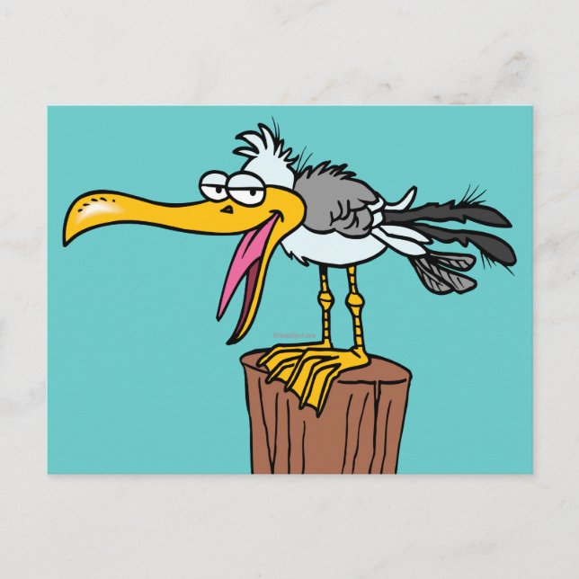Carte Postale dessin humoristique de mouette (Devant)
