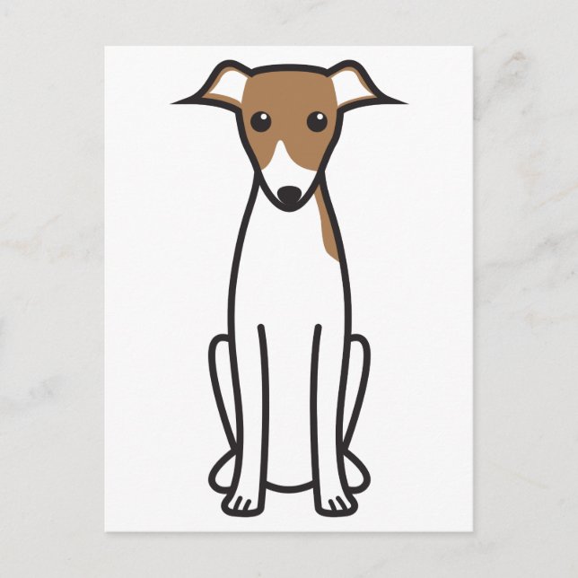 Carte Postale Dessin italien Greyhound Dog (Devant)