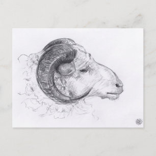Carte postale Dessin Originale Ram