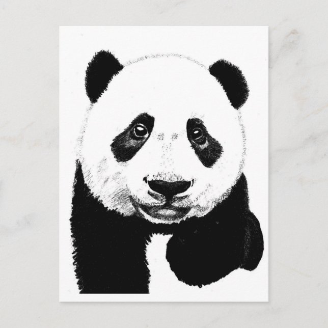 Carte Postale Dessin Panda (Devant)