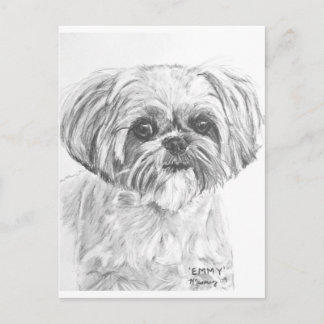 Carte Postale Dessin Shih Tzu