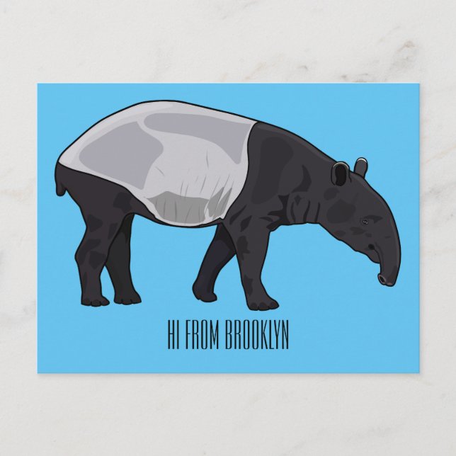 Carte Postale Dessin sur Tapir (Devant)