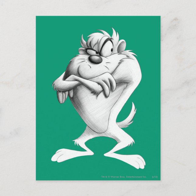 Carte Postale Dessin TAZ™ (Devant)