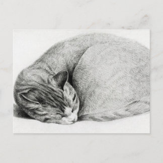 Carte Postale Dessin vintage d'un chaton
