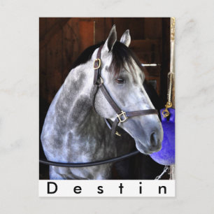 Carte Postale Destin