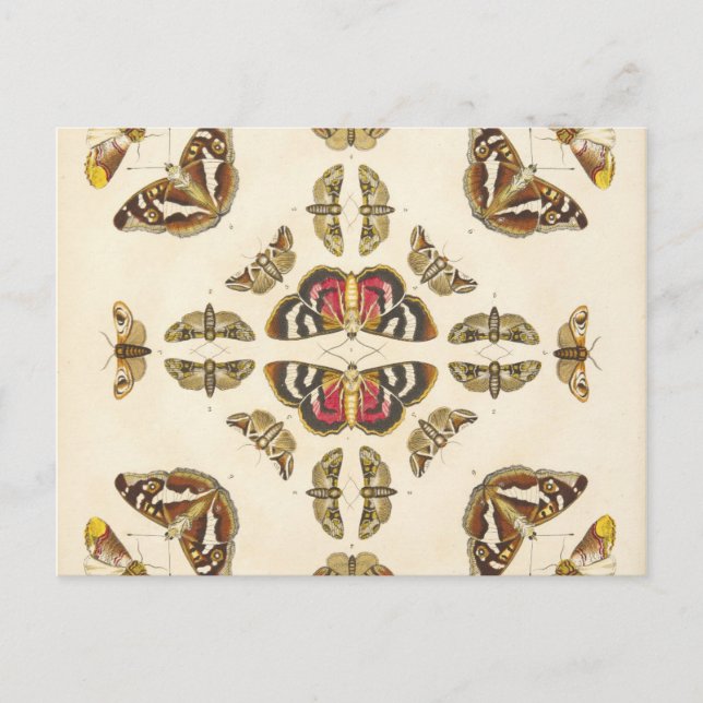 Carte Postale Détail de la plaque VI (Devant)