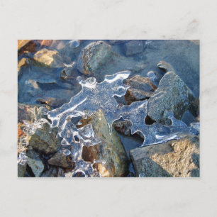 Carte Postale Détail de la rive gelée, glace, pierre, sable, eau