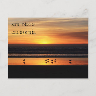 Carte Postale Détente à San Diego