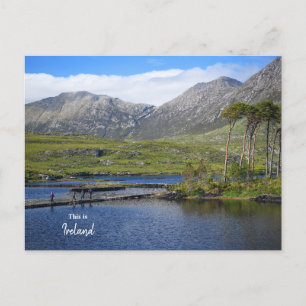 Carte Postale Détente dans la campagne de Killarney-Irlande