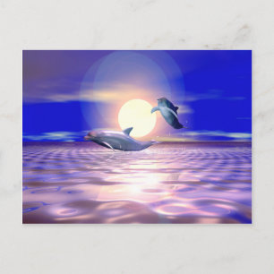 Carte Postale Détournement de dauphins - Deux dauphins sautant