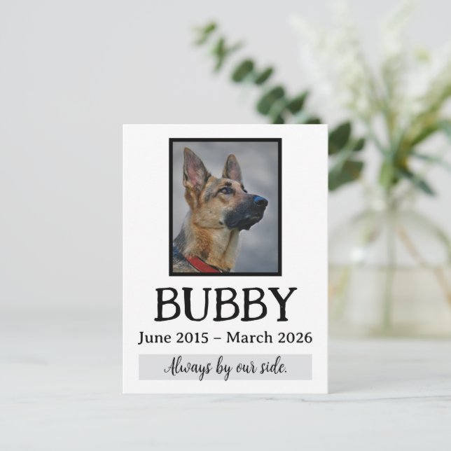 Carte Postale Deuil Funéraire Mémorial Amour Perte d'Animaux Dan (Debout devant)