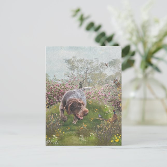Carte Postale Deutsch Drahthaar (Debout devant)