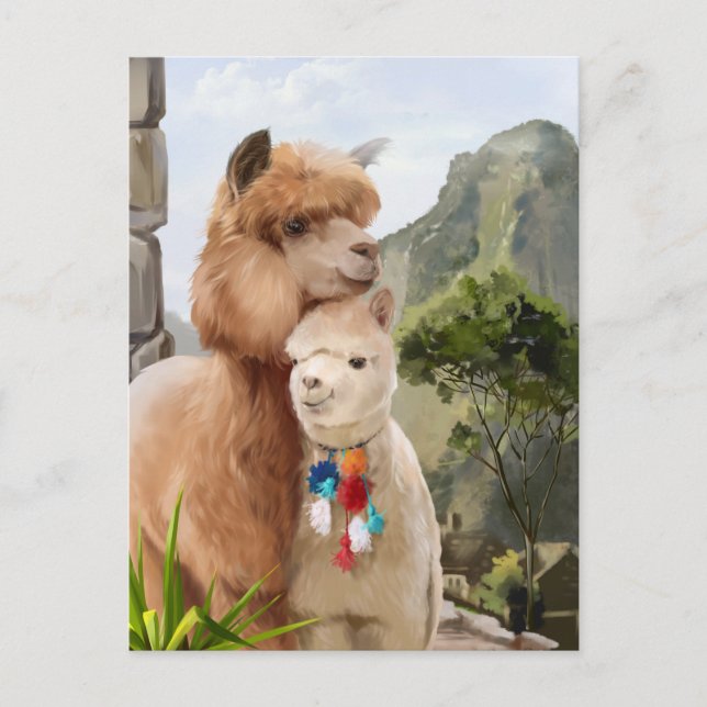 Carte Postale Deux alpacas moelleux sur l'arrière - plan du lac (Devant)