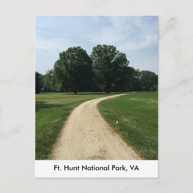 Carte Postale Deux arbres à Ft. Hunt Park (Devant)