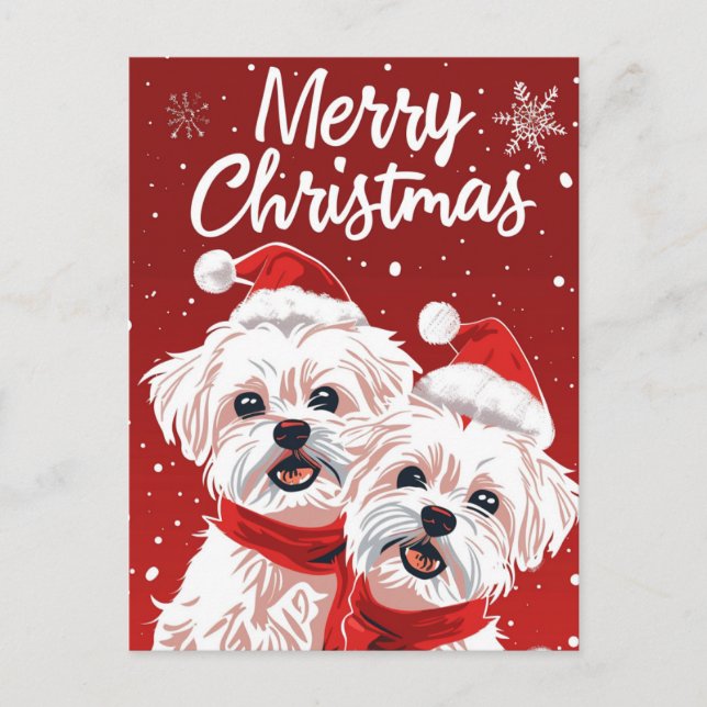 Carte Postale Deux Bichon Frise Joyeux Noël (Devant)