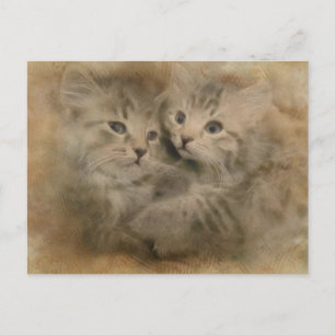 Carte Postale Deux Chatons Gris Cute En Aquarelle
