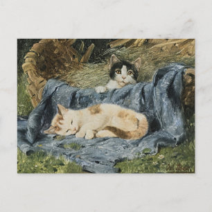 Carte Postale Deux chatons   Julius Adam le Jeune
