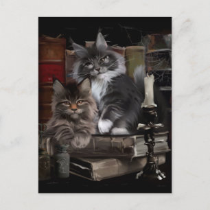 Carte Postale Deux chatons Maine Coon en furie