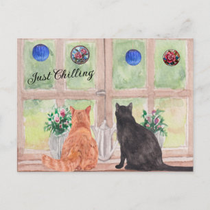 CARTE POSTALE Deux chats à la fenêtre Fleurs serei
