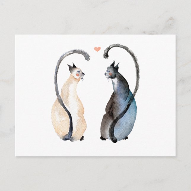 Carte Postale Deux chats amoureux (Devant)