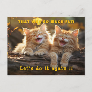 Carte Postale Deux chats blancs et orange hilares 