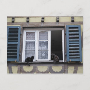 Carte Postale Deux chats noirs à la fenêtre