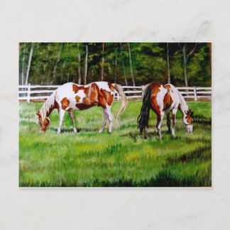 Carte Postale Deux Chevaux de Peinture broutant