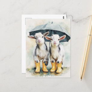 Carte Postale Deux chèvres tachetées pendant un jour pluvieux