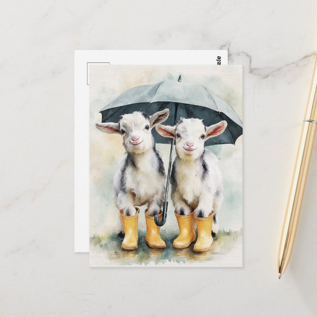 Carte Postale Deux chèvres tachetées pendant un jour pluvieux (Devant/Arrière en situation)