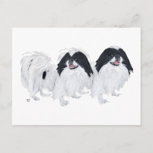 Carte Postale Deux Chiens Japonais