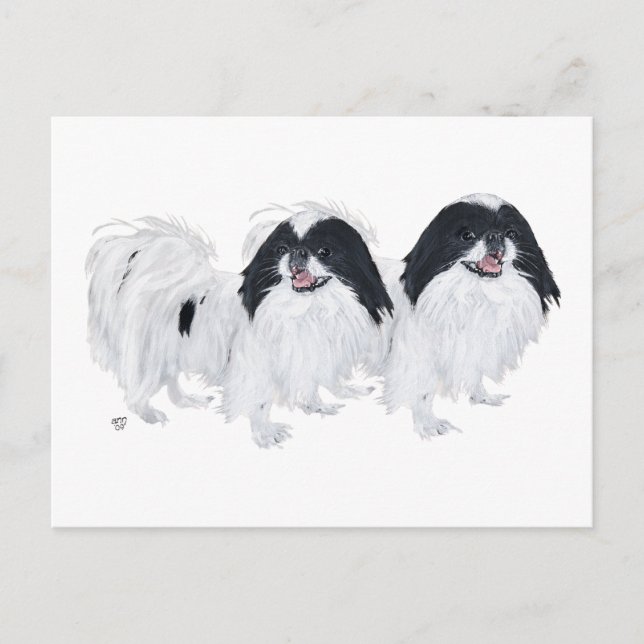 Carte Postale Deux Chiens Japonais (Devant)