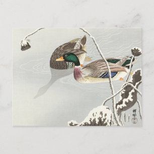 Carte Postale Deux colverts près d'une peinture de lotus recouve