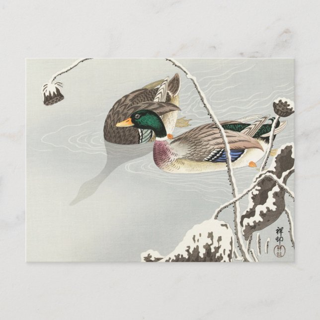 Carte Postale Deux colverts près d'une peinture de lotus recouve (Devant)