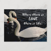 Deux cygnes sur le lac