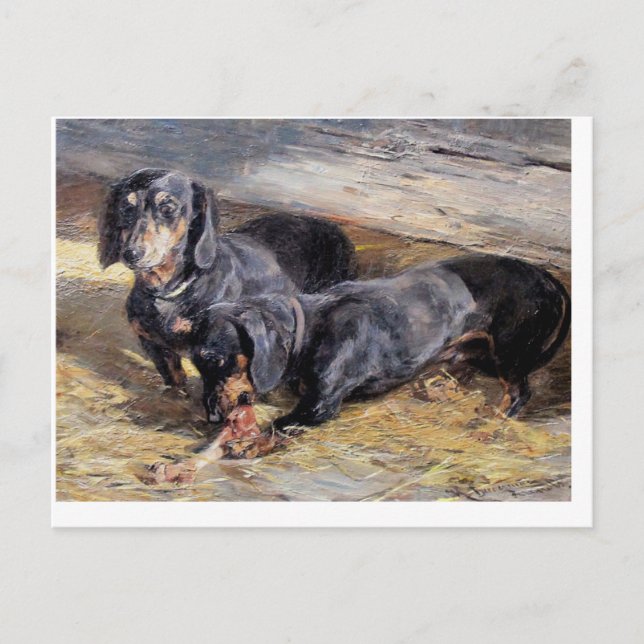 Carte Postale Deux Dachshunds avec Bone Hermine Biedermann (Devant)