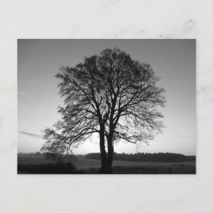 Carte Postale Deux en un : l'arbre fourré