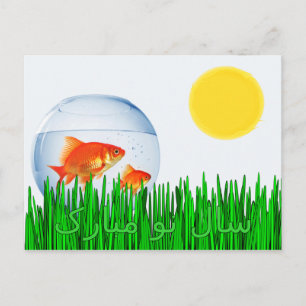 Carte Postale Deux Goldfish Sun Spring Equinox Grass