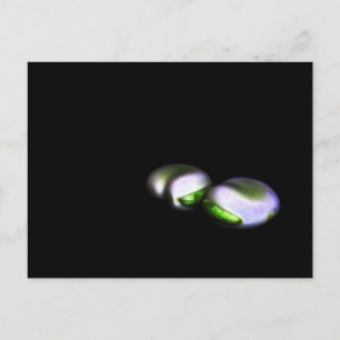 Carte Postale Deux gros grains pcna