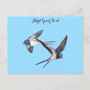 Carte Postale Deux hirondelles à granges volantes personnalisées