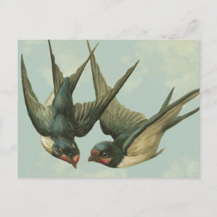 Carte Postale Deux hirondelles Vintages