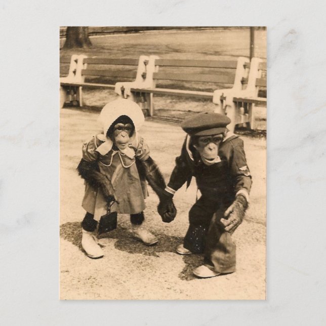 Carte Postale Deux Jeunes Chimpanzés tenant Les Mains (Devant)
