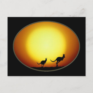 Carte Postale Deux Kangaroos Silhouetté dans un design ovale