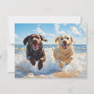 Carte Postale Deux Labrador Retrievers sur la plage