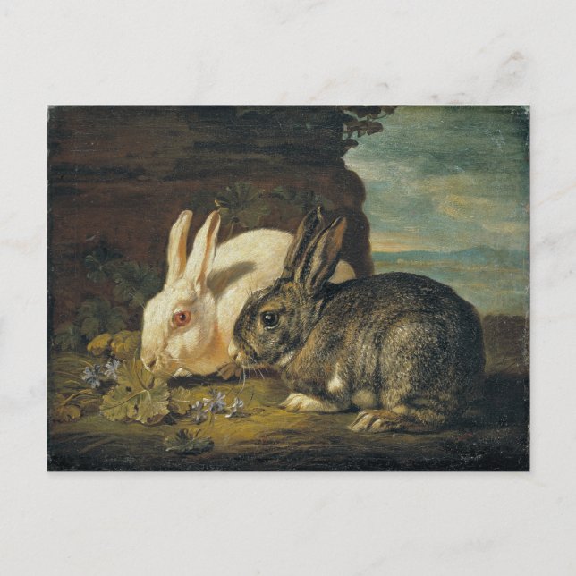 Carte Postale Deux lapins par David de Coninck (Devant)